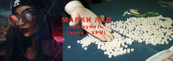 гидра Майский