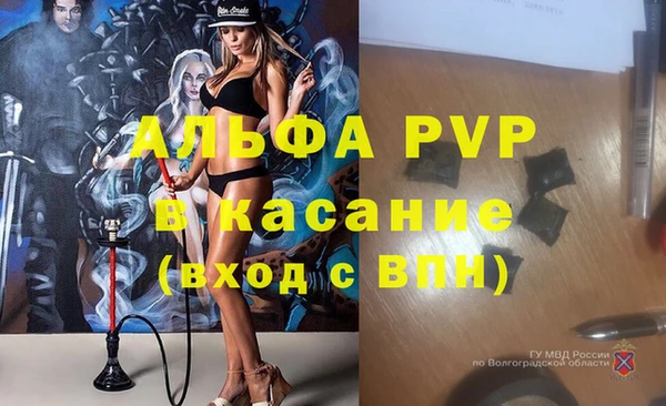 ПСИЛОЦИБИНОВЫЕ ГРИБЫ Магадан