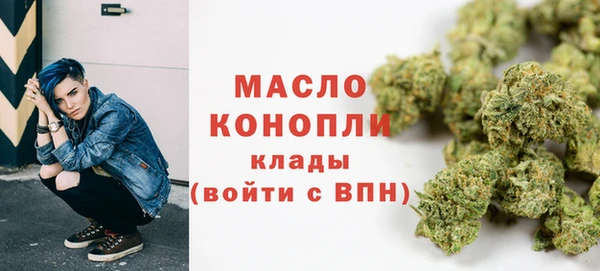 гидра Майский