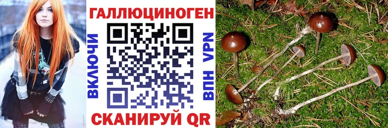 Псилоцибиновые грибы Psilocybine cubensis  как найти закладки  Саки 